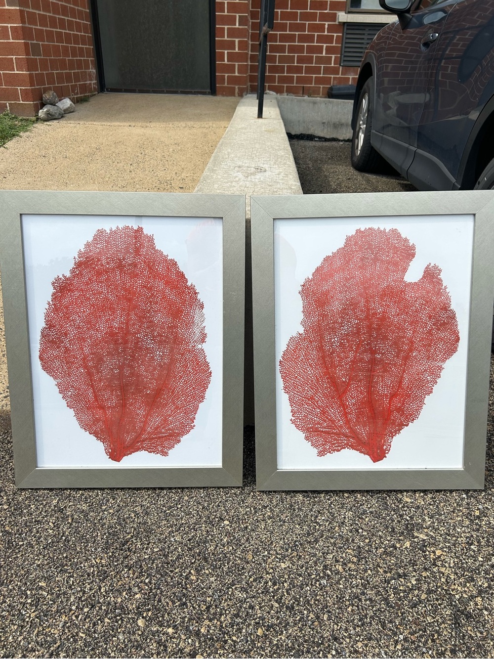 PAIR of Red Coral Lace LARGE Art Print silver framed in glass